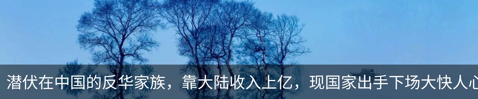 内页banner
